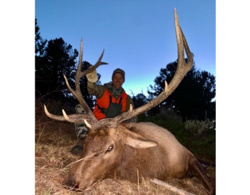 Sns Wyoming Wilderness Elk 2025 11